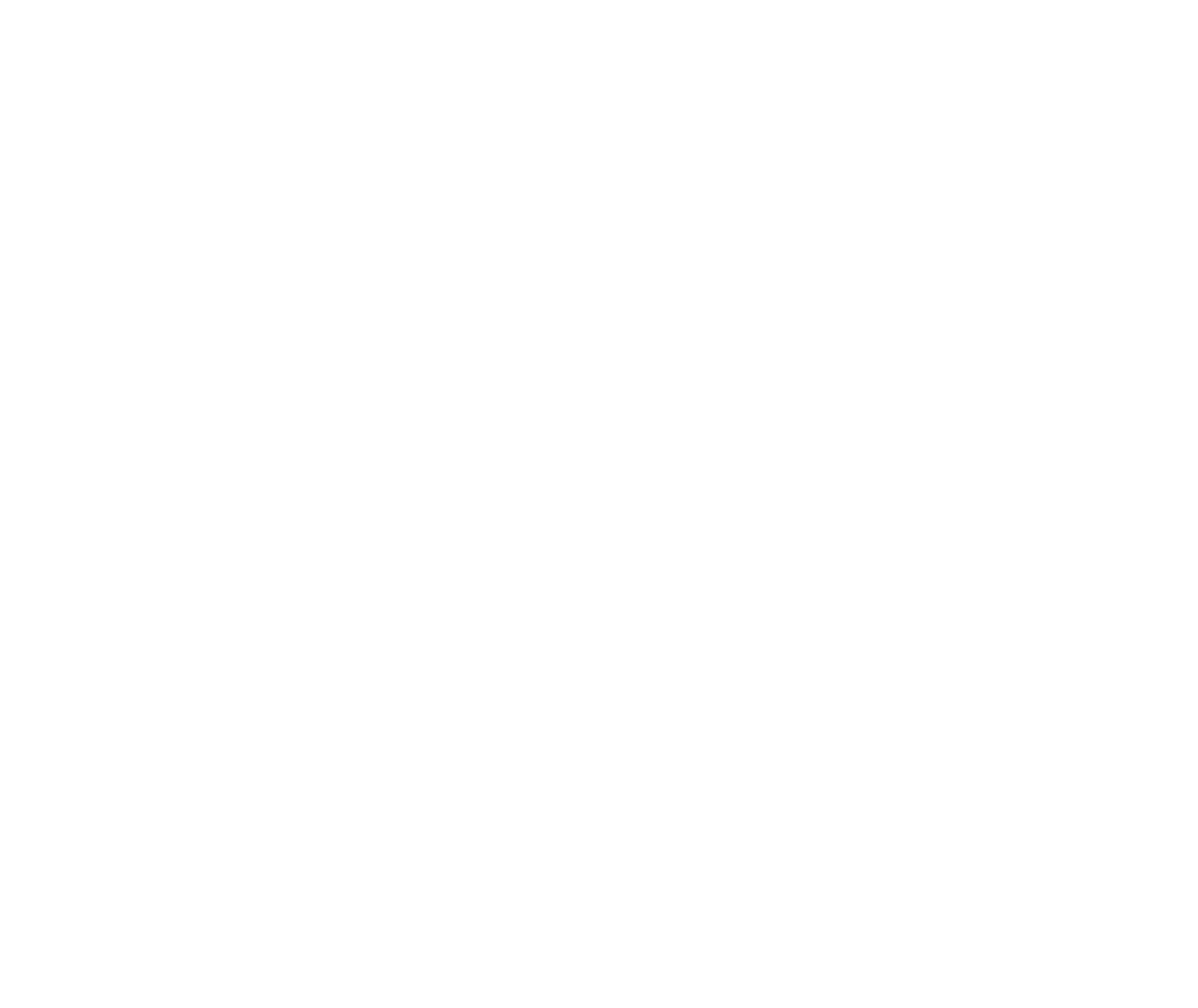 eMBR Genomics Logo White